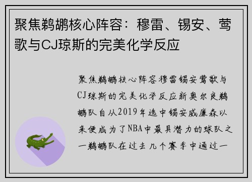 聚焦鹈鹕核心阵容：穆雷、锡安、莺歌与CJ琼斯的完美化学反应